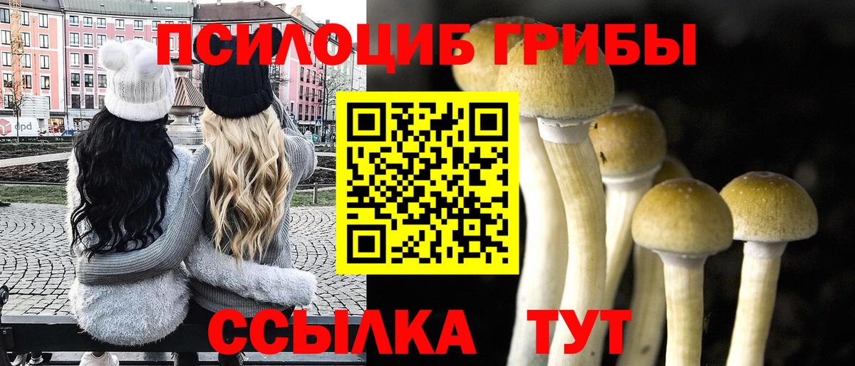 Сальск  Псилоцибиновые грибы Magic Shrooms  магазин    Вход с VPN  Псилоцибиновые грибы мухоморы 
